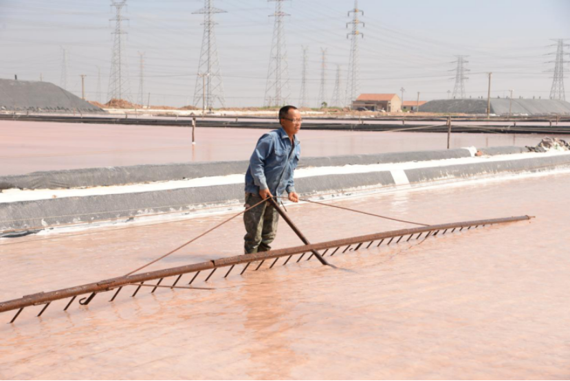 蘇鹽集團(tuán)：戰(zhàn)高溫斗酷暑，致敬堅(jiān)守一線的最美蘇鹽人！