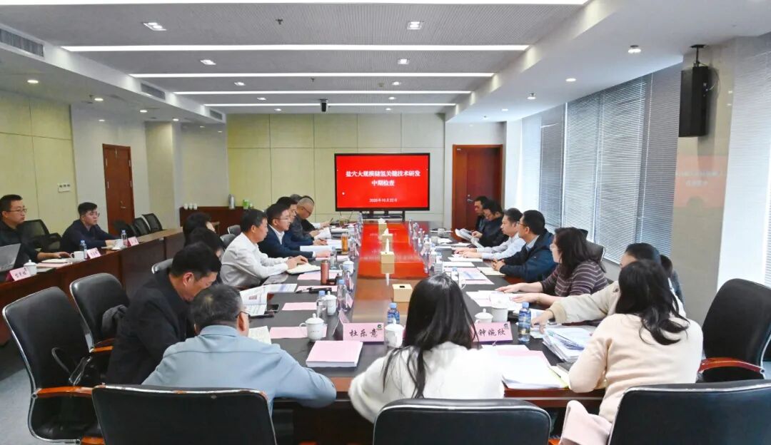 “鹽穴大規(guī)模儲(chǔ)氫關(guān)鍵技術(shù)研發(fā)”項(xiàng)目順利通過(guò)中期檢查