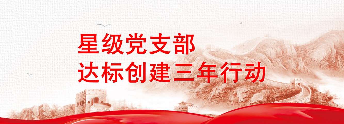 星級(jí)黨支部達(dá)標(biāo)創(chuàng)建三年行動(dòng)